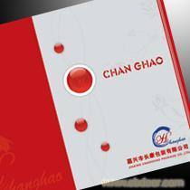 湖南包装设计与软件开发 塑造品牌形象与数字化未来